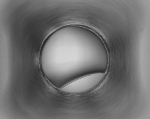 X0000113241513200909100912