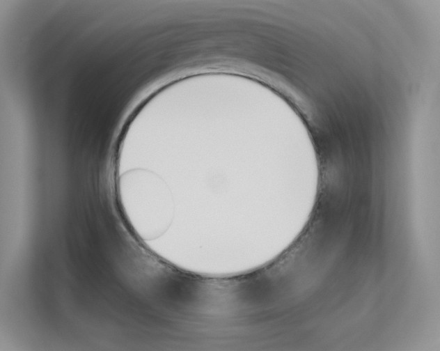 X0000113241514200909100912