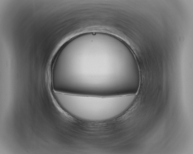 X0000113241515200909100912