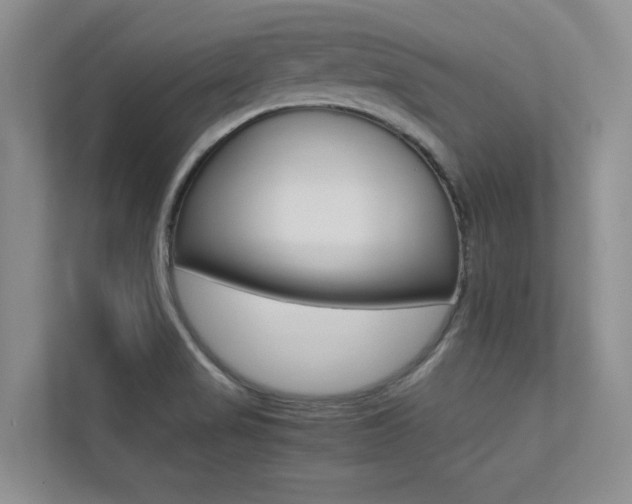 X0000113241517200909100912