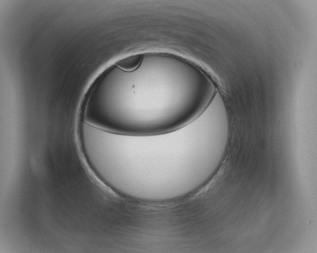 X0000113241518200909100912