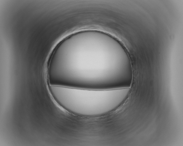 X0000113241519200909100912