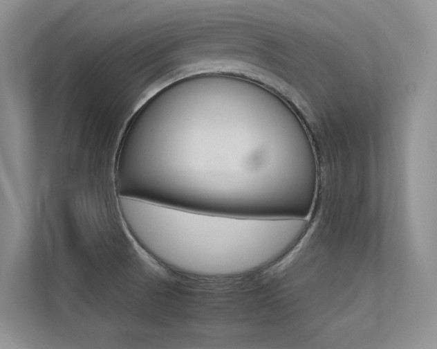 X0000113241521200909100912