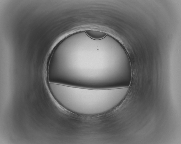 X0000113241523200909100912