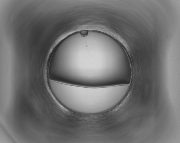 X0000113241525200909100912