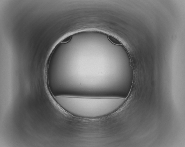 X0000113241526200909100912