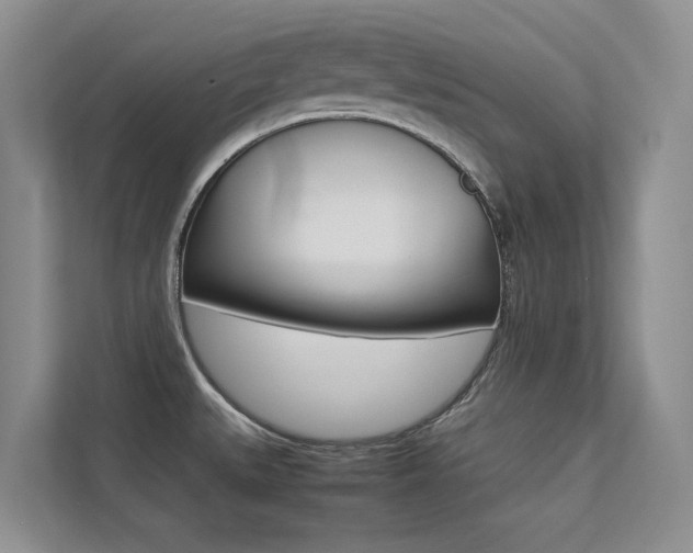 X0000113241527200909100912