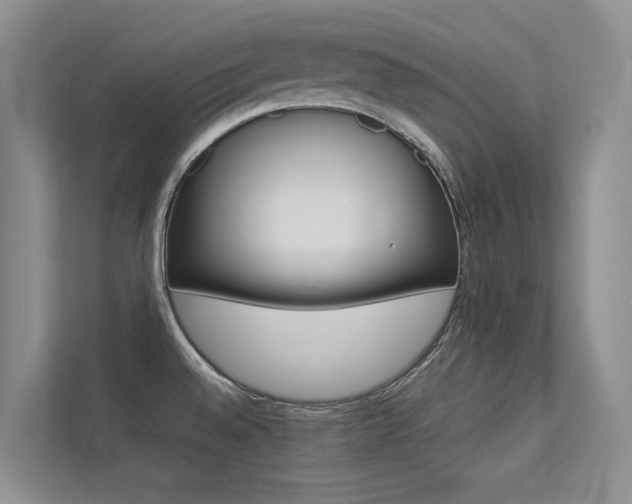 X0000113241528200909100912