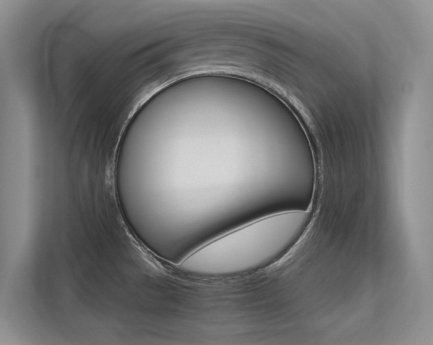 X0000113241529200909100912