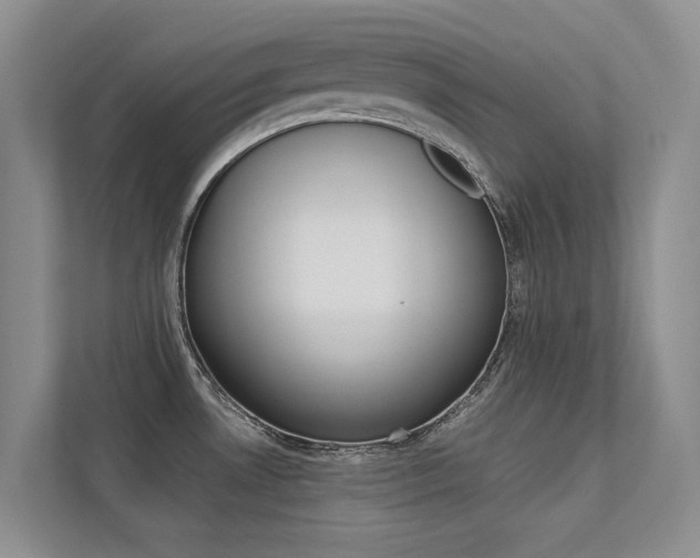 X0000113241530200909100912