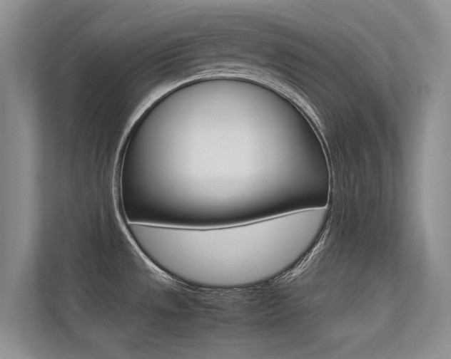 X0000113241533200909100912
