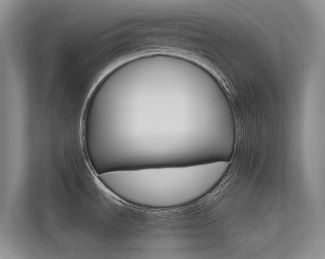 X0000113241535200909100912