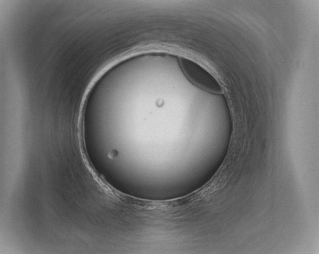 X0000113241536200909100912