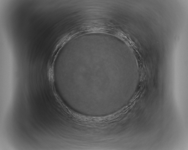 X0000113240002200909101417