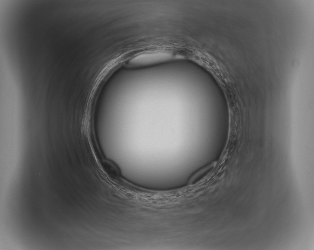 X0000113240003200909101417