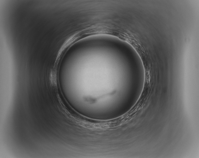 X0000113240004200909101417