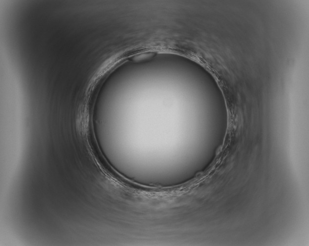 X0000113240005200909101417