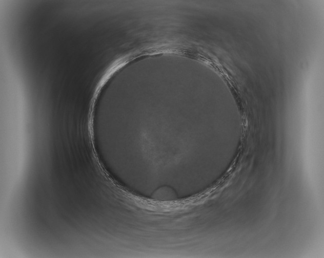 X0000113240006200909101417