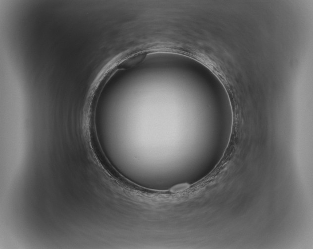 X0000113240007200909101417