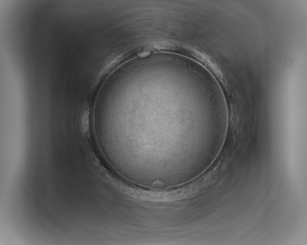 X0000113240010200909101417