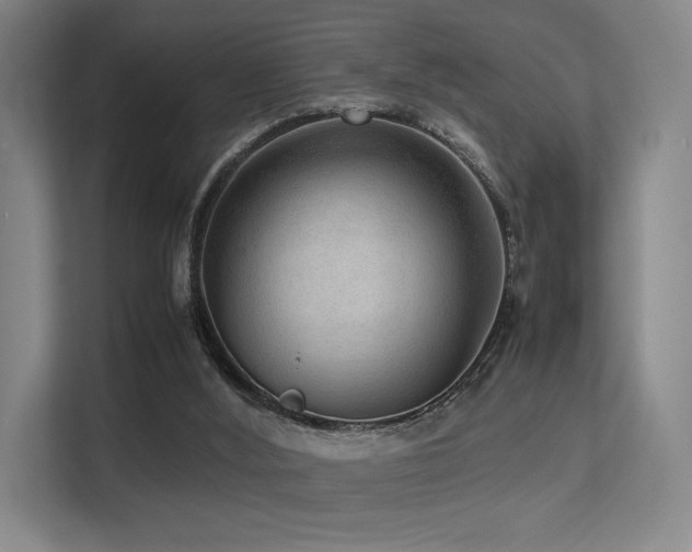 X0000113240012200909101417