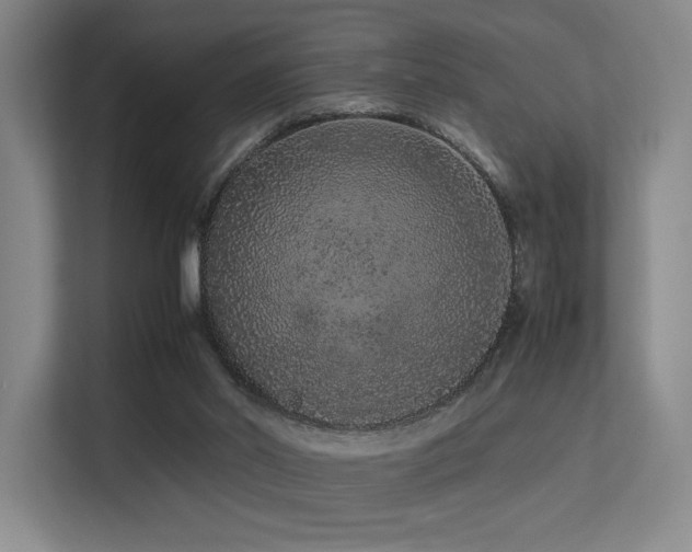 X0000113240014200909101417