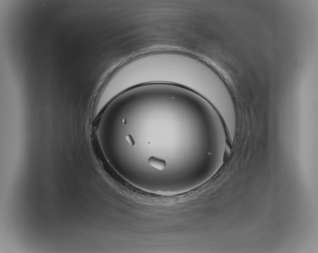 X0000113240015200909101417