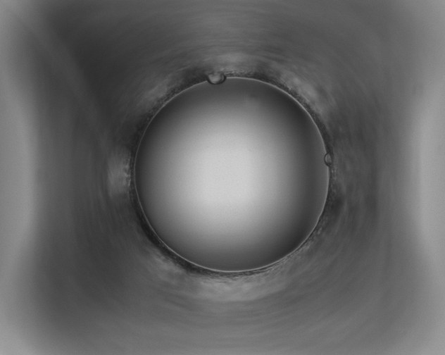 X0000113240017200909101417