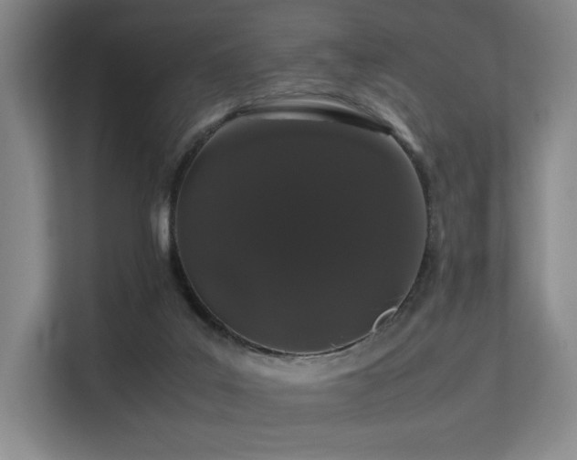 X0000113240019200909101417