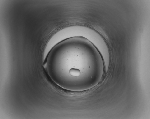 X0000113240021200909101417