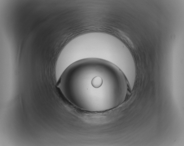 X0000113240025200909101417