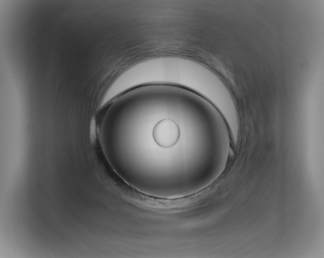 X0000113240027200909101417