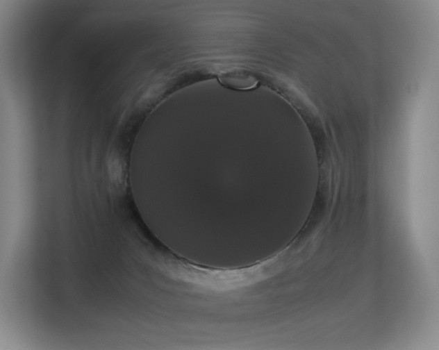 X0000113240031200909101417