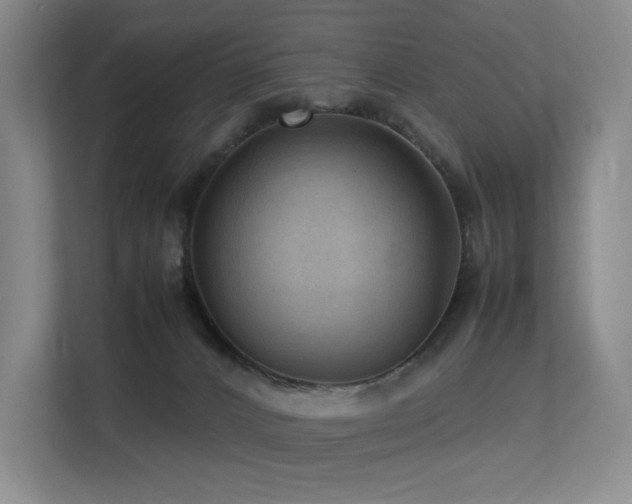 X0000113240032200909101417