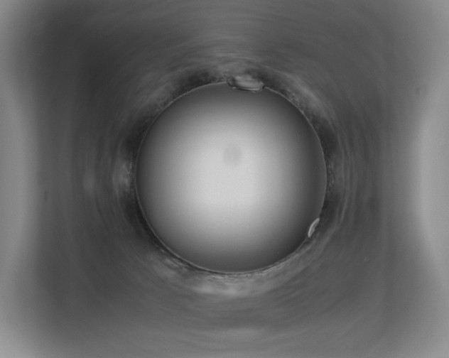 X0000113240033200909101417