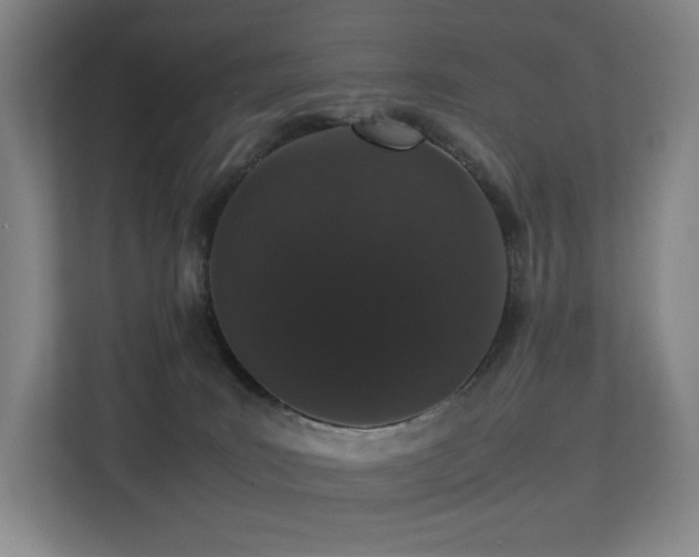 X0000113240035200909101417