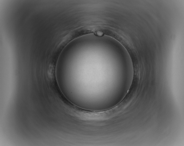 X0000113240036200909101417