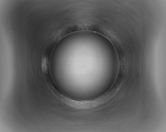 X0000113240038200909101417