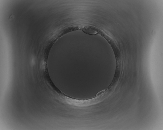 X0000113240039200909101417