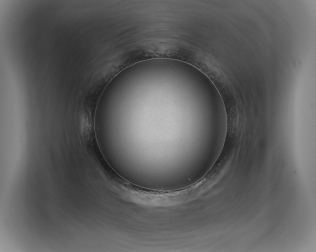 X0000113240040200909101417