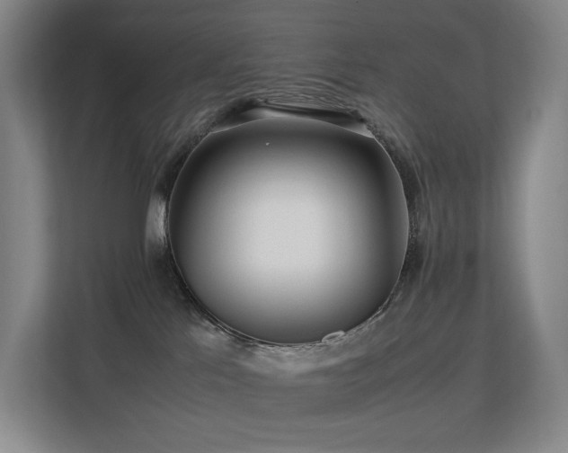 X0000113240041200909101417