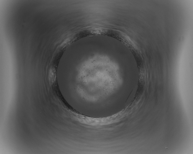 X0000113240043200909101417