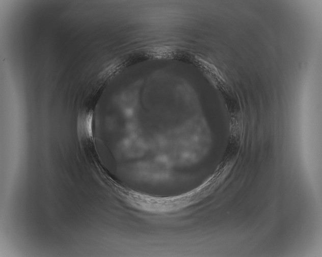 X0000113240047200909101417