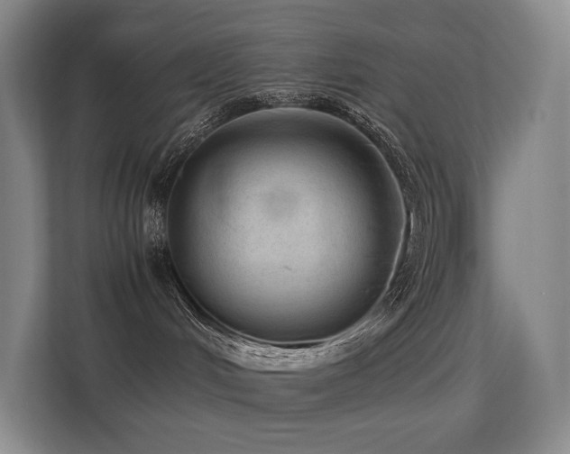 X0000113240048200909101417