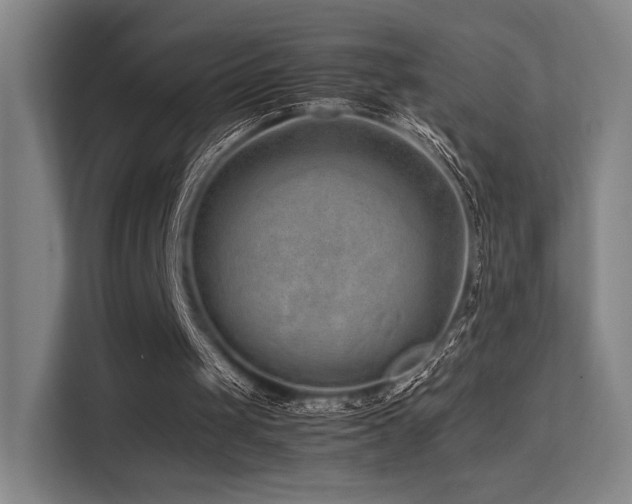 X0000113240049200909101416