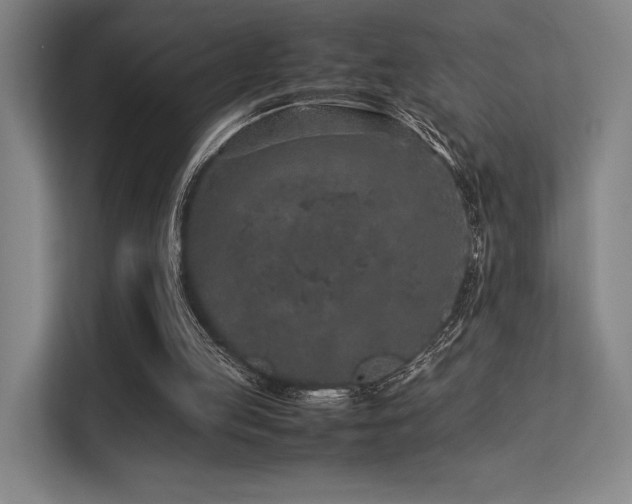 X0000113240053200909101416