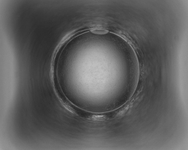 X0000113240055200909101416