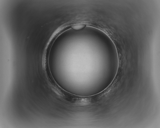 X0000113240056200909101416