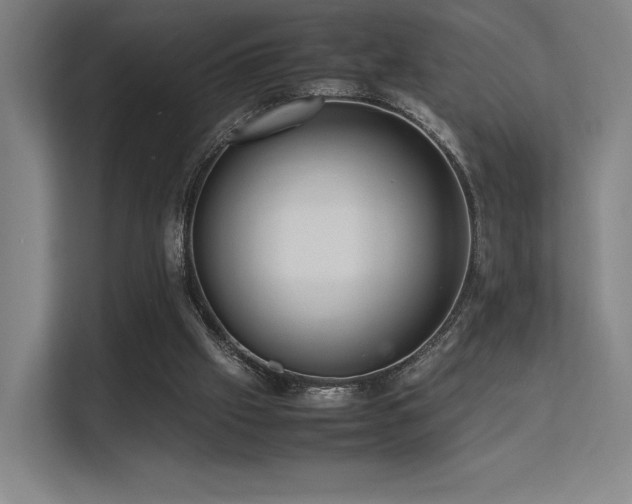 X0000113240057200909101416