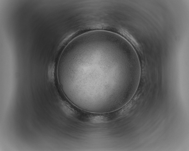 X0000113240058200909101416